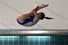 Women's Diving  Wheaton College Women’s Diving vs Mount Holyoke College. - Photo by Keith Nordstrom : Wheaton, Swimming & Diving